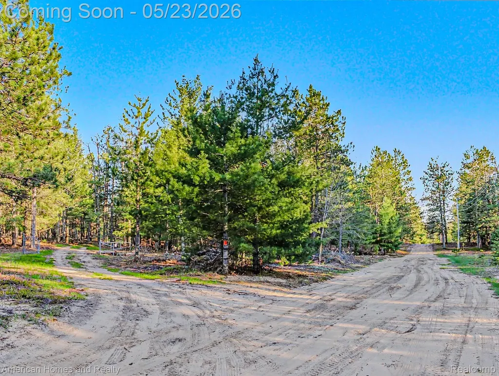 6691 Boone Lane Corwith Township MI 49795