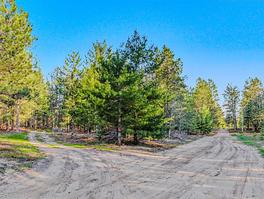 6691 Boone Lane Corwith Township MI 49795
