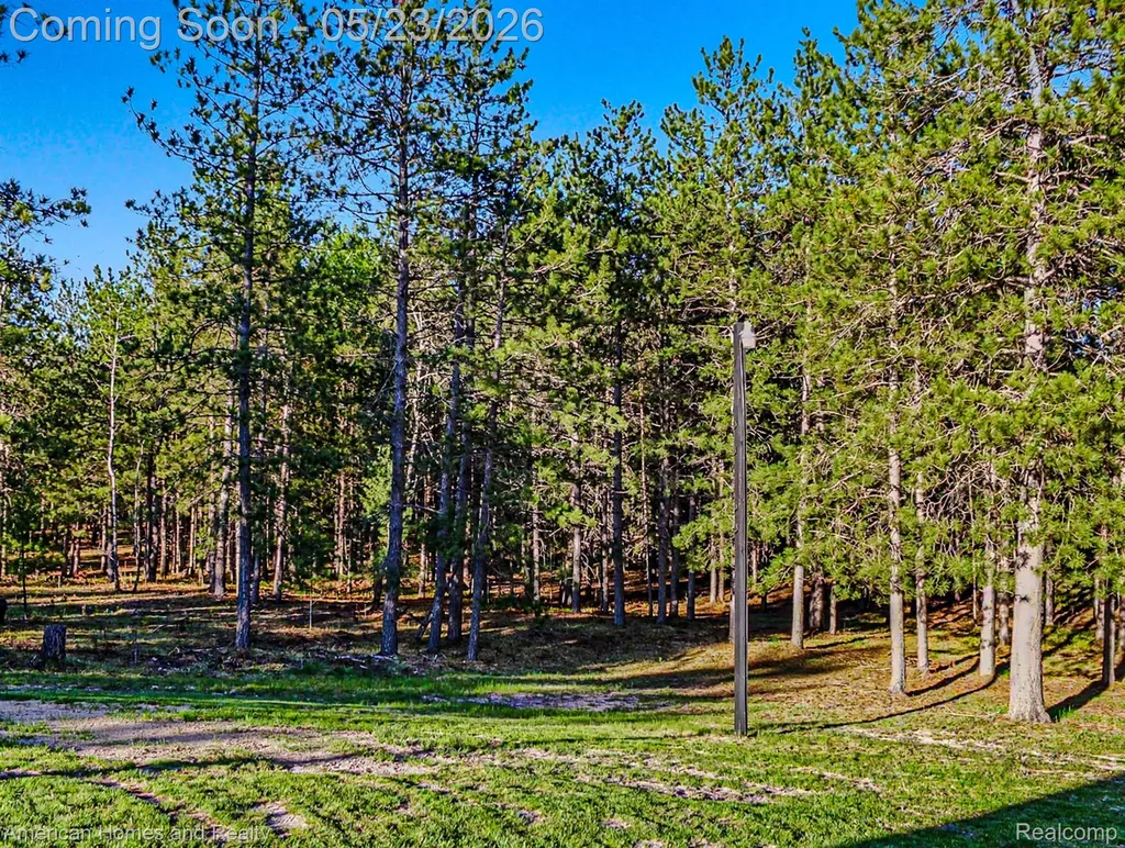 6691 Boone Lane Corwith Township MI 49795
