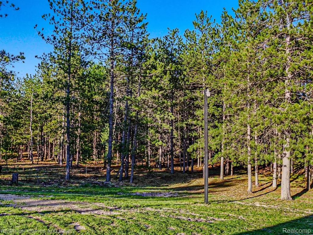 6691 Boone Lane Corwith Township MI 49795