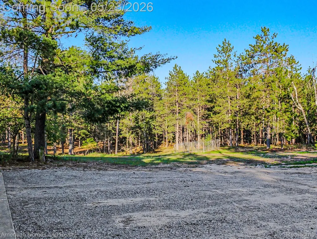 6691 Boone Lane Corwith Township MI 49795