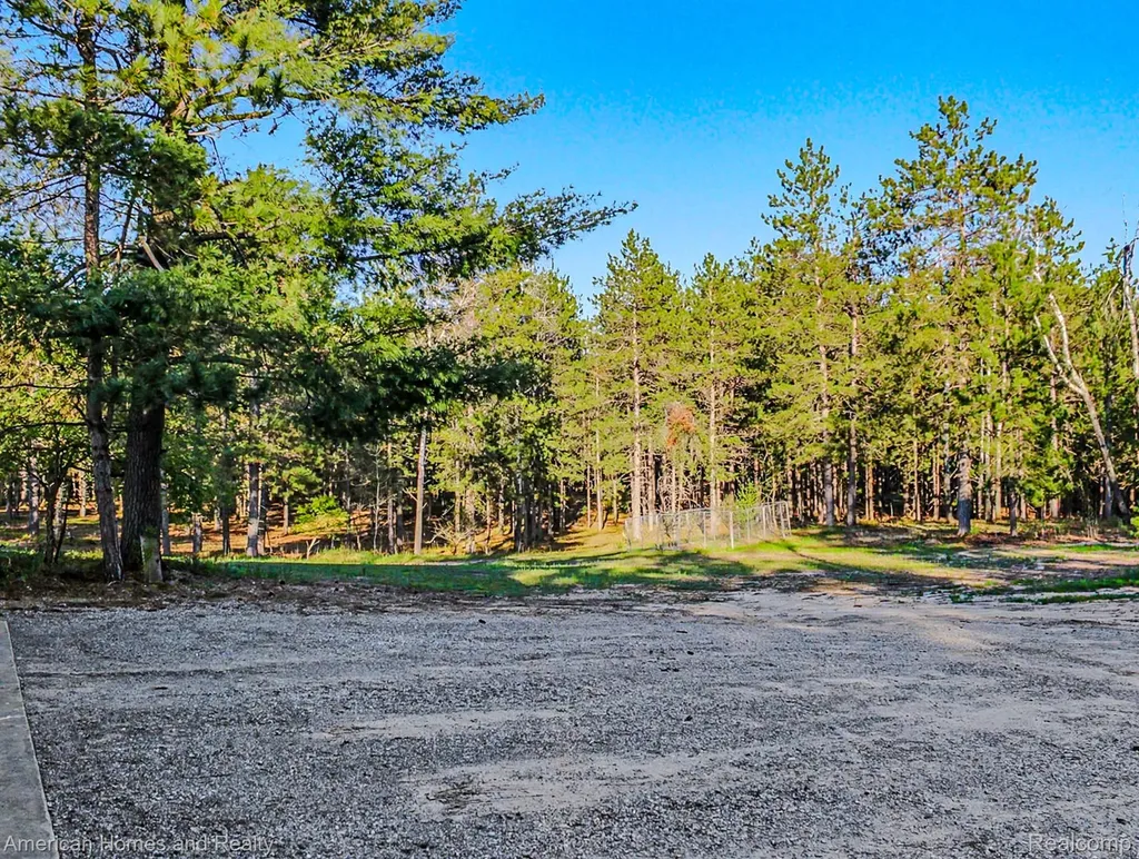 6691 Boone Lane Corwith Township MI 49795