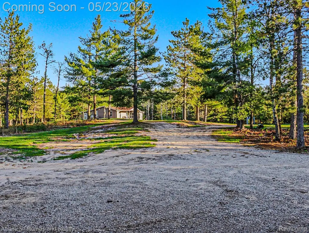 6691 Boone Lane Corwith Township MI 49795
