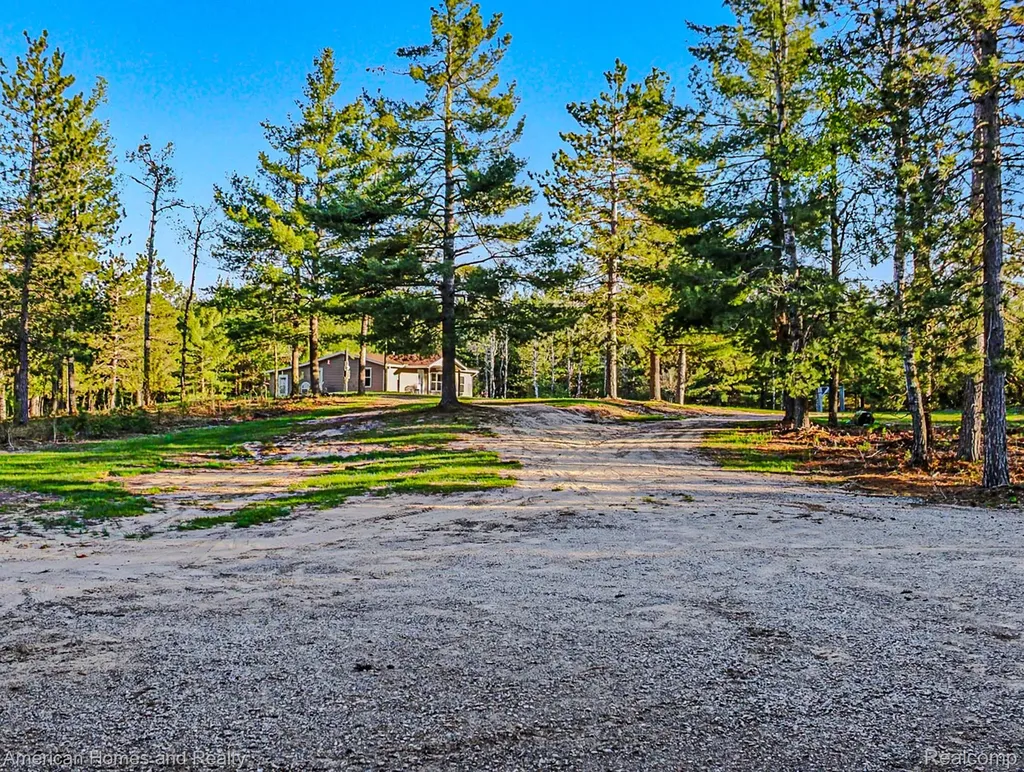 6691 Boone Lane Corwith Township MI 49795