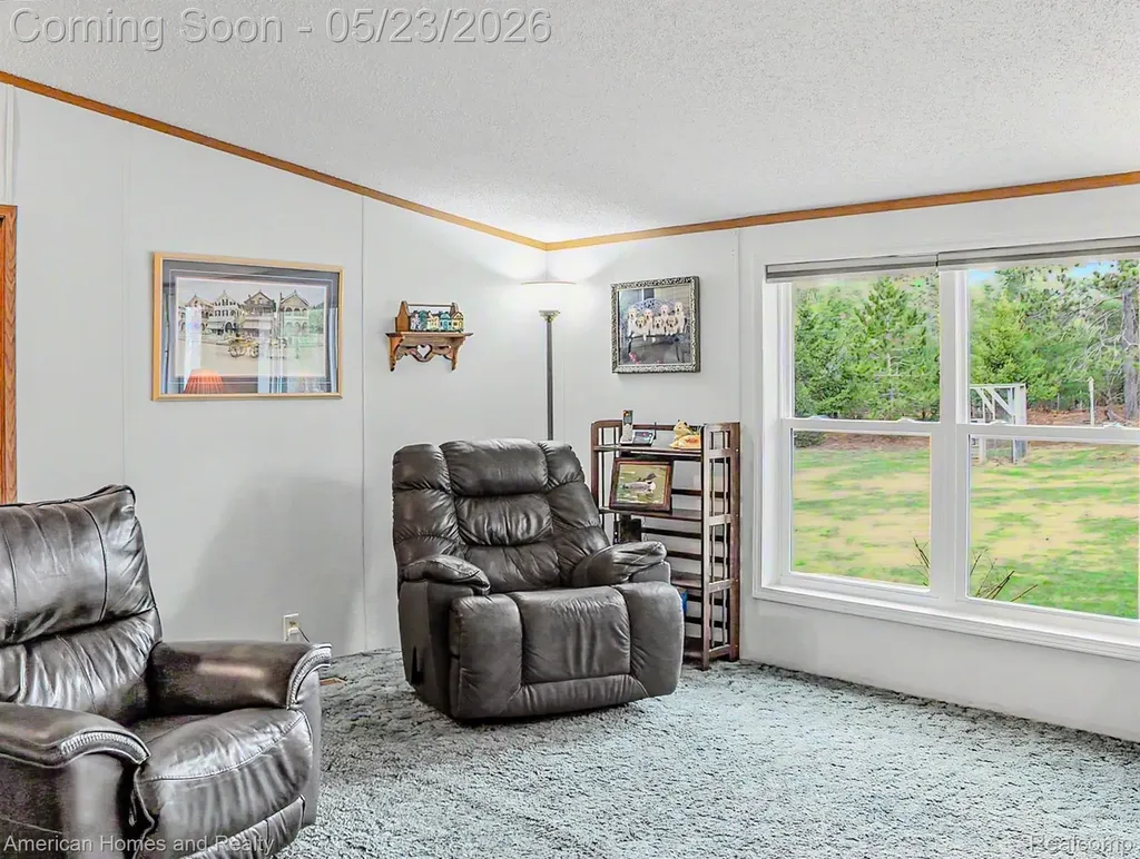 6691 Boone Lane Corwith Township MI 49795