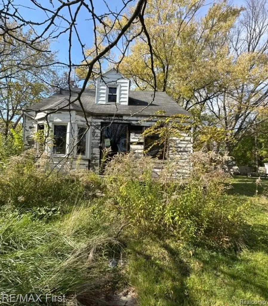 17363 Heyden Street Detroit City MI 48219