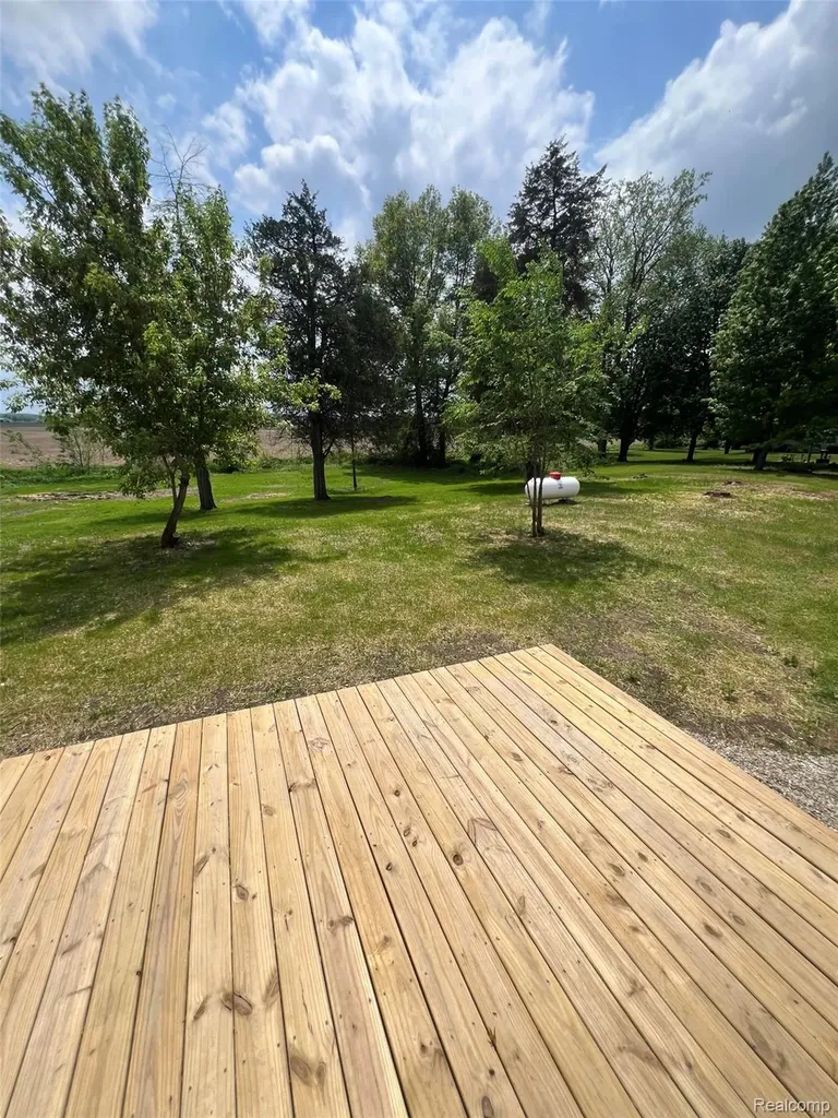 12301 Niblock Road Chesaning Township MI 48616