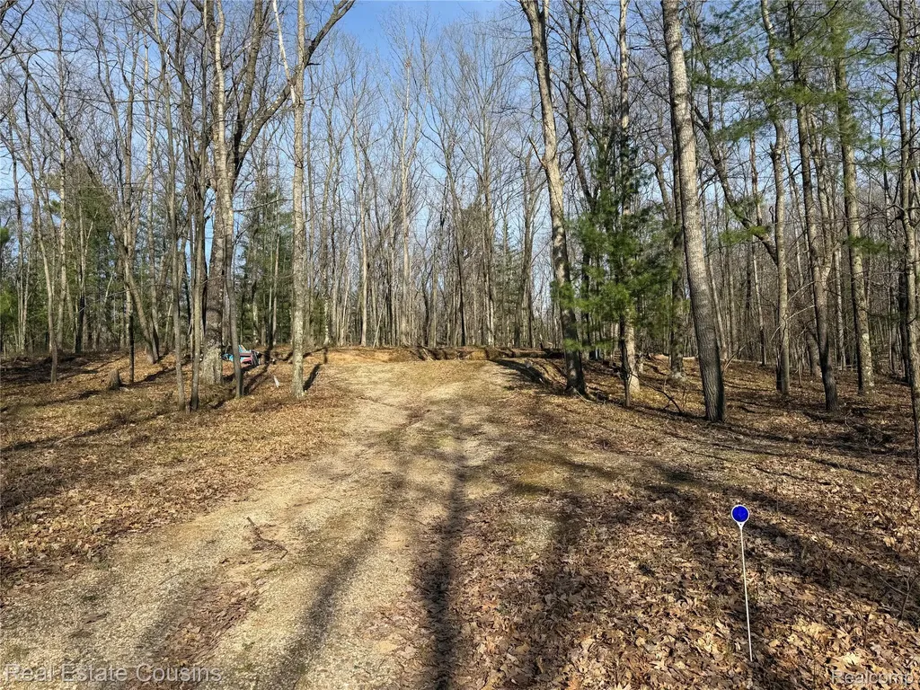 4701 Lake Road Farwell Village MI 48622