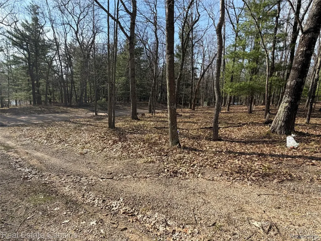 4701 Lake Road Farwell Village MI 48622
