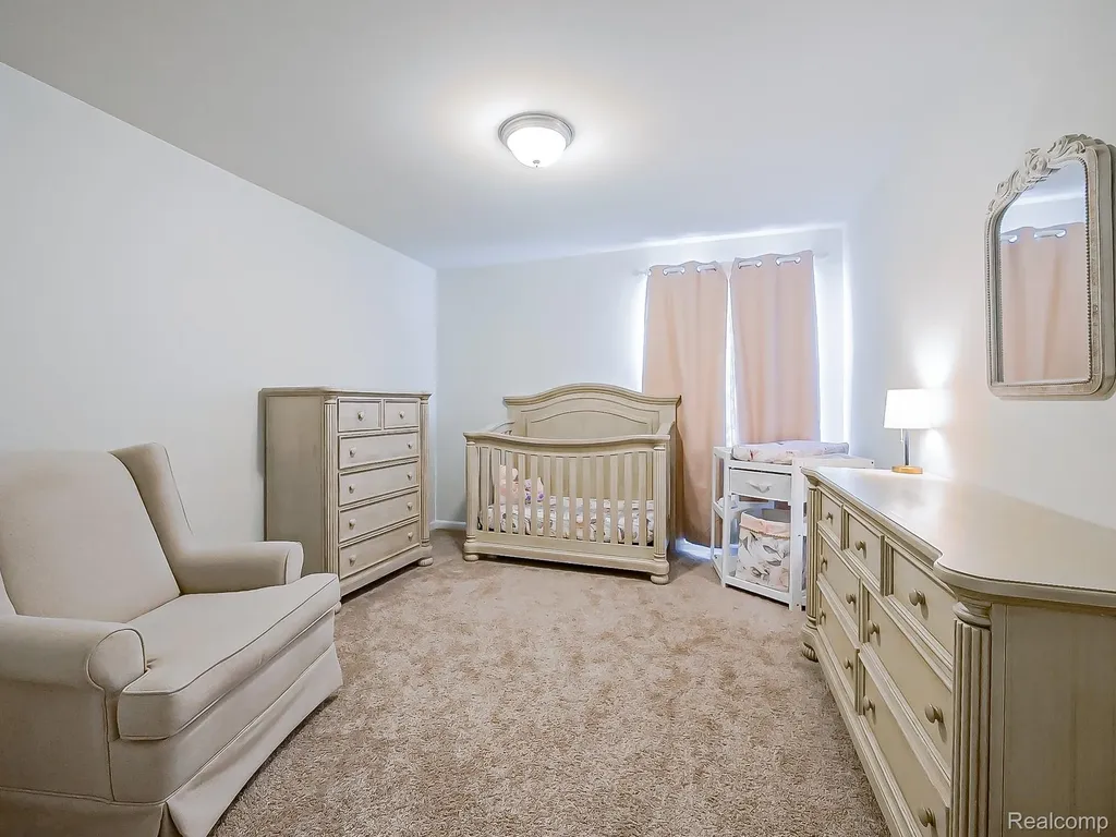 24503 Scenic Drive Lyon Charter Township MI 48178
