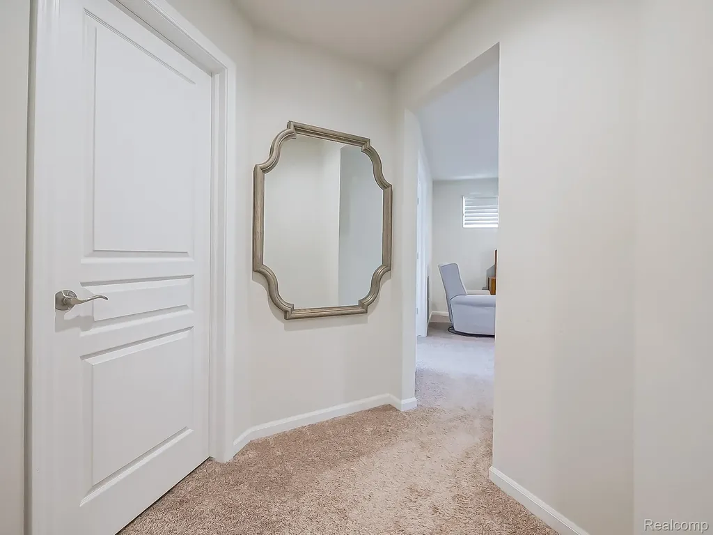 24503 Scenic Drive Lyon Charter Township MI 48178