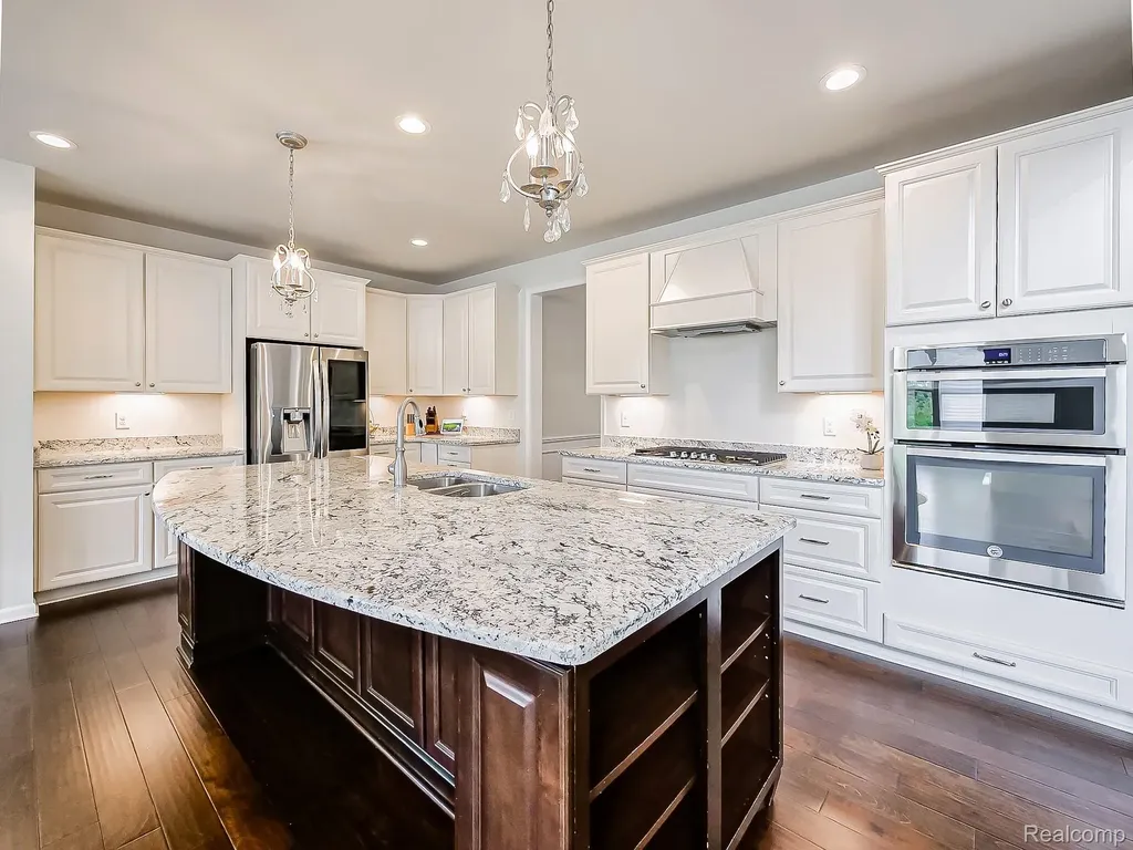 24503 Scenic Drive Lyon Charter Township MI 48178