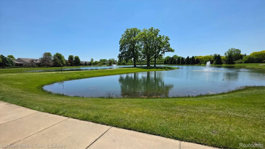 28294 Cottage Lane Lyon Charter Township MI 48165