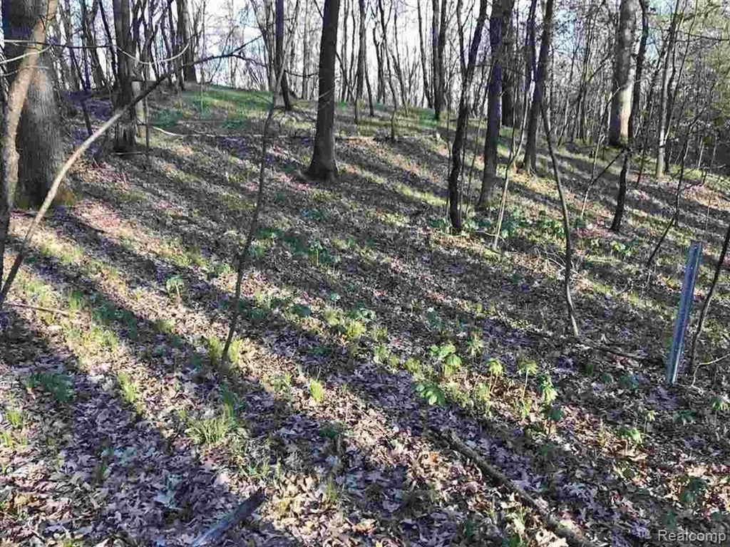 0000 Silverbell Oakland Charter Township MI 48306