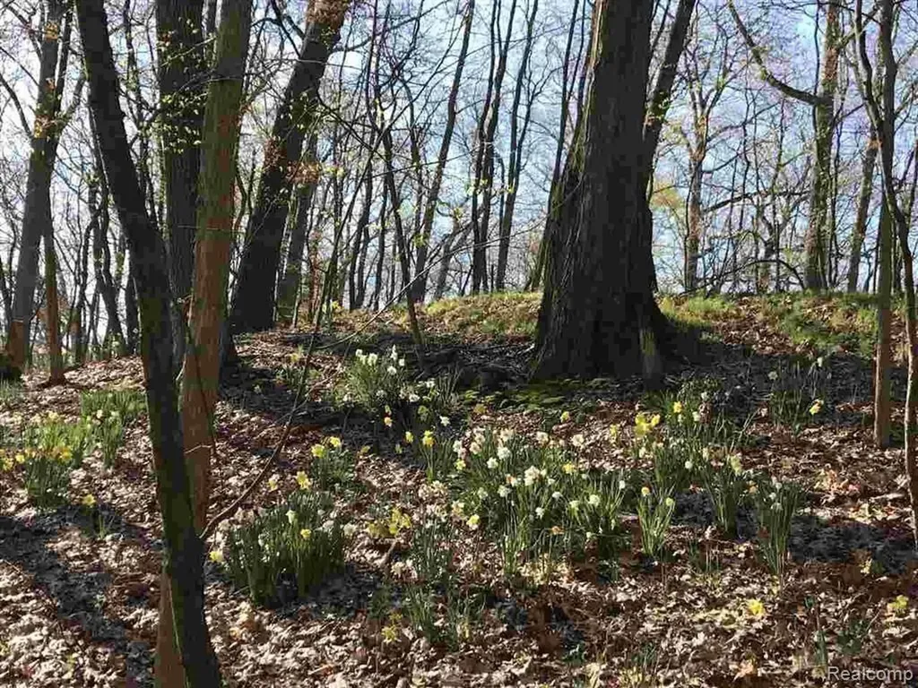 0000 Silverbell Oakland Charter Township MI 48306