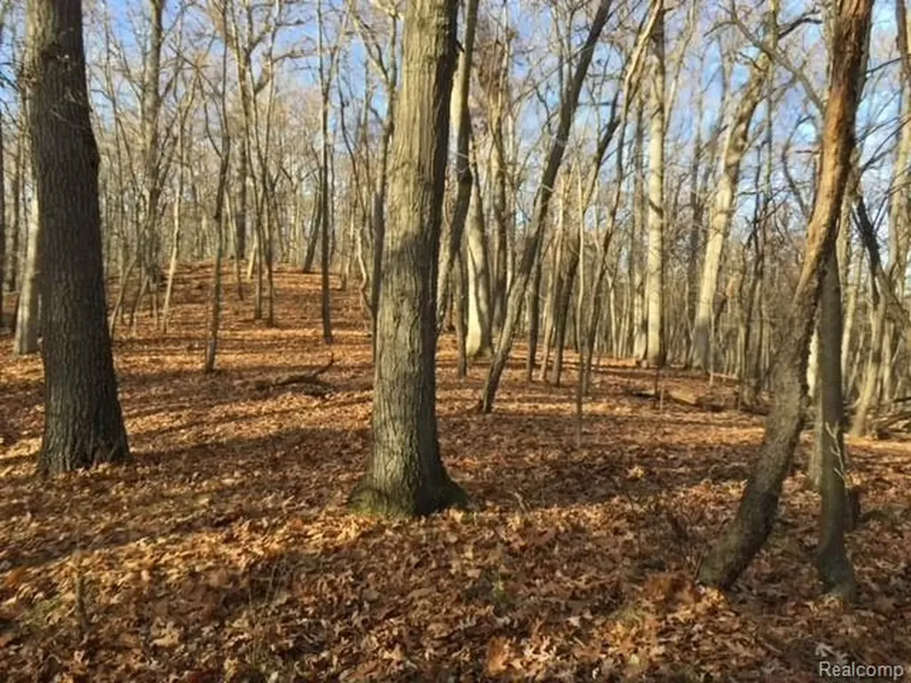0000 Silverbell Oakland Charter Township MI 48306