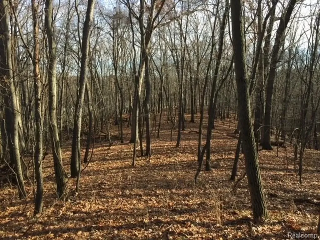 0000 Silverbell Oakland Charter Township MI 48306
