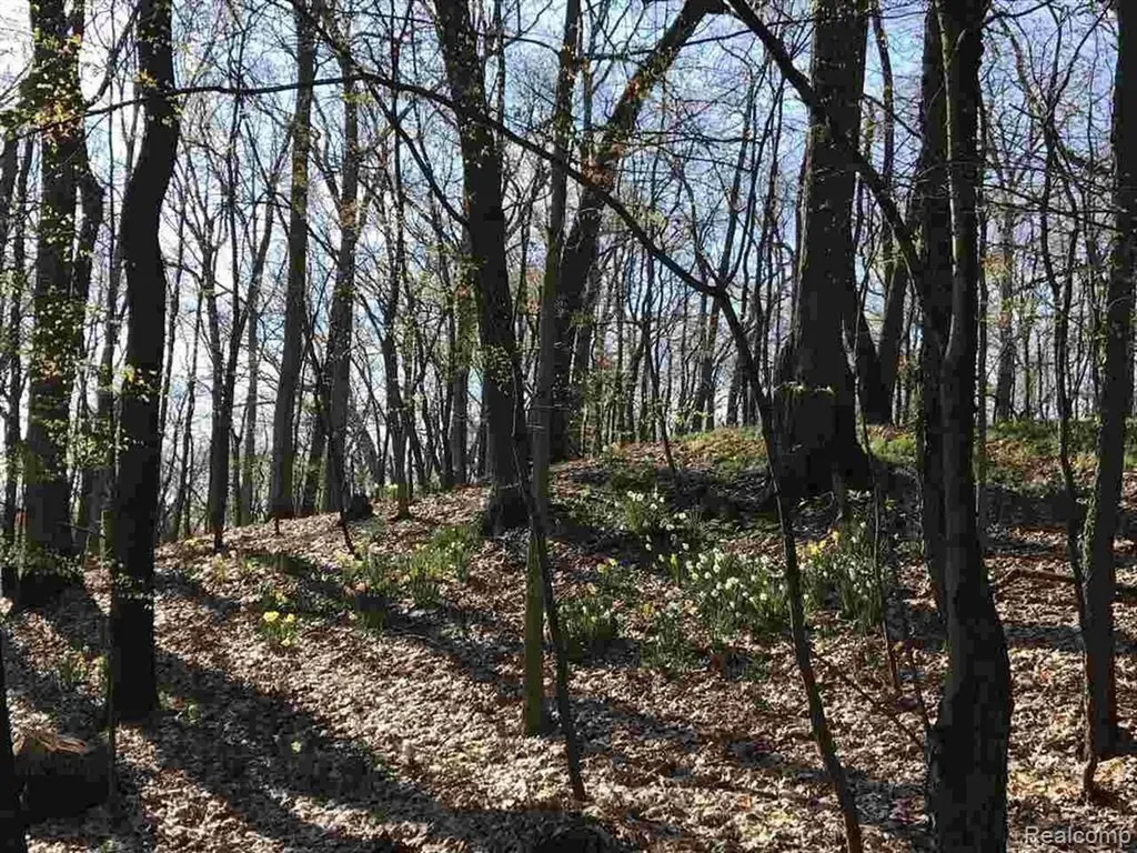 0000 Silverbell Oakland Charter Township MI 48306