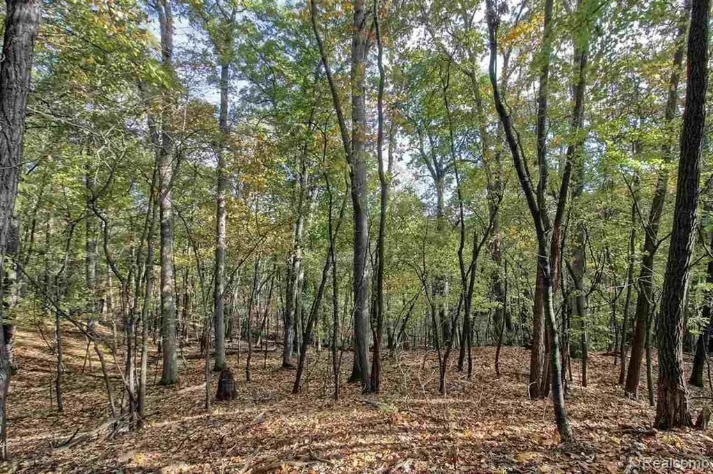 0000 Silverbell Oakland Charter Township MI 48306