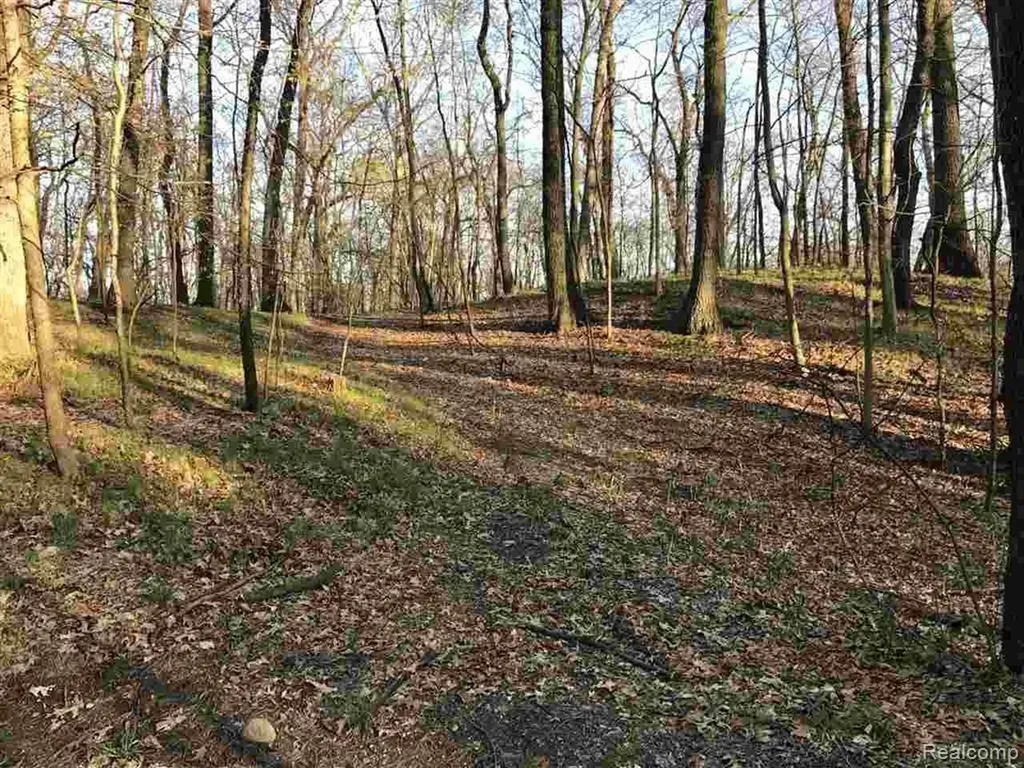 0000 Silverbell Oakland Charter Township MI 48306