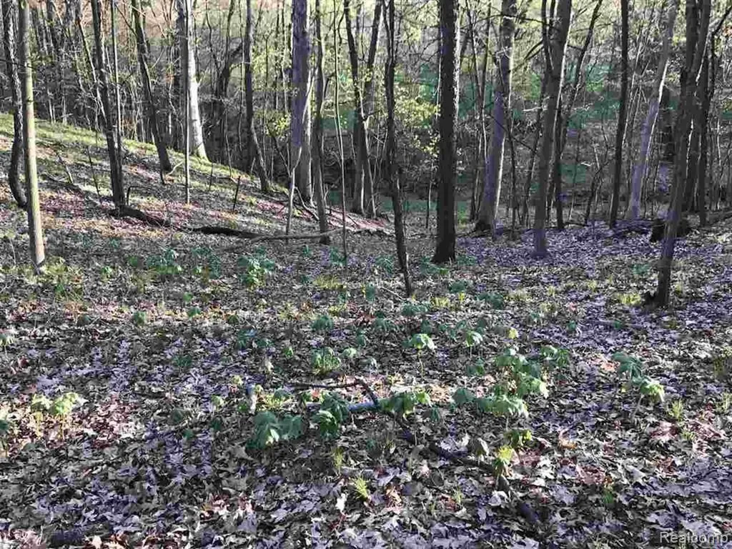 0000 Silverbell Oakland Charter Township MI 48306