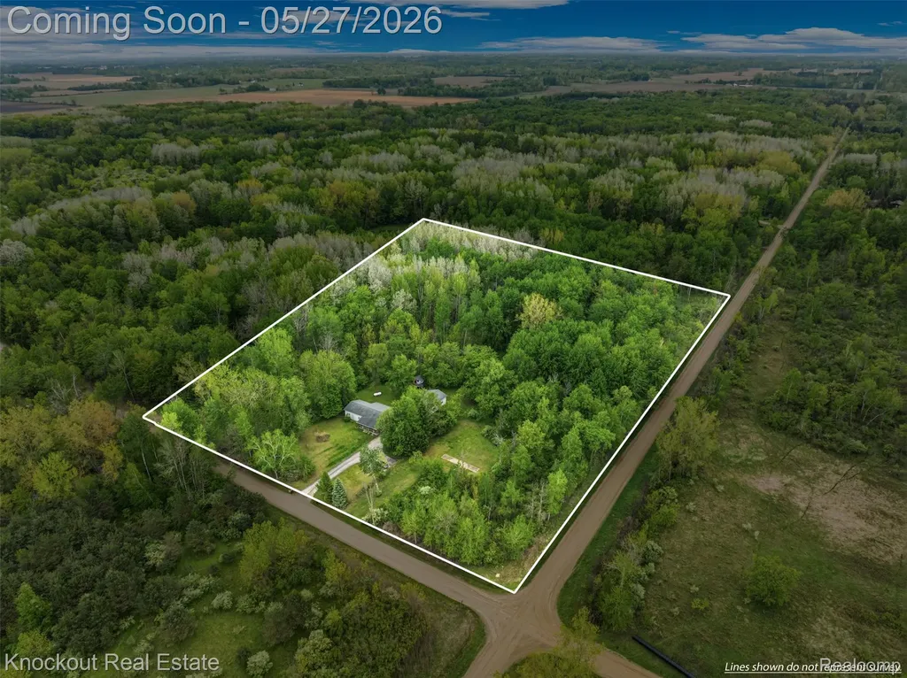 6512 Center Line Road Koylton Township MI 48741