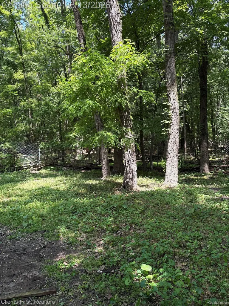 5844 Crandall Road Howell City MI 48855