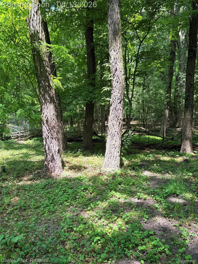 5844 Crandall Road Howell City MI 48855