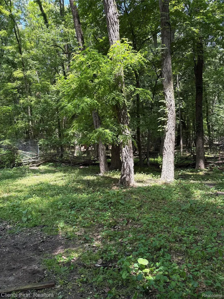 5844 Crandall Road Howell City MI 48855