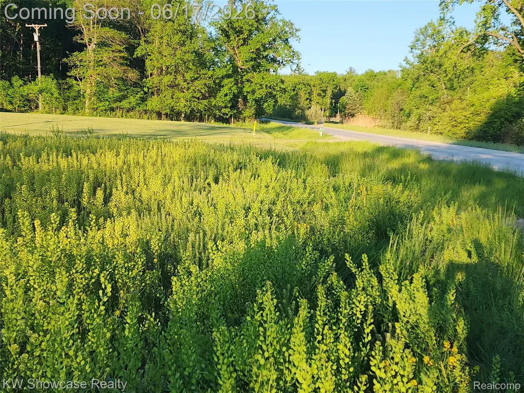 7240 Puttygut Road China Township MI 48054