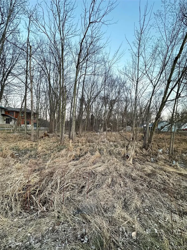 0000 Paramount Novi City MI 48375