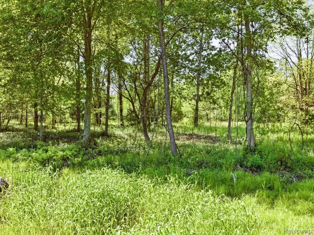 2941 Beach Road Port Huron Charter Township MI 48060
