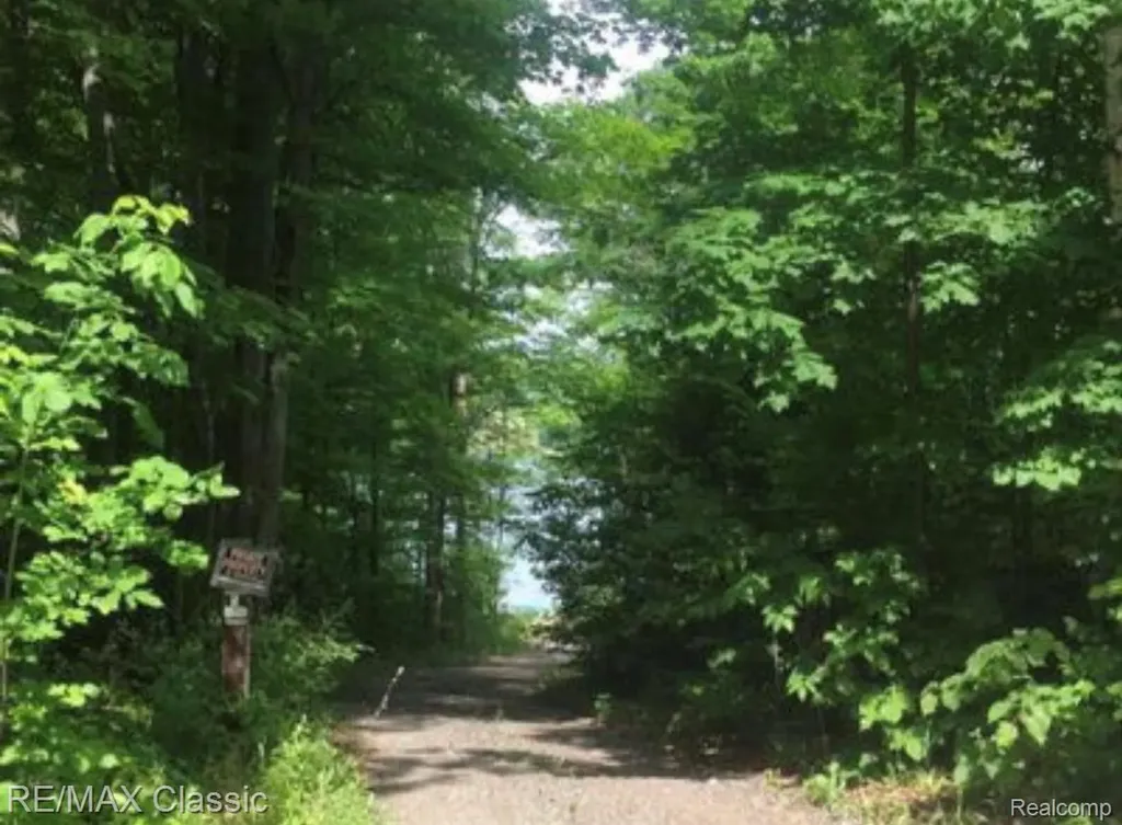 5091 W Kinney Road Summit Township MI 49431