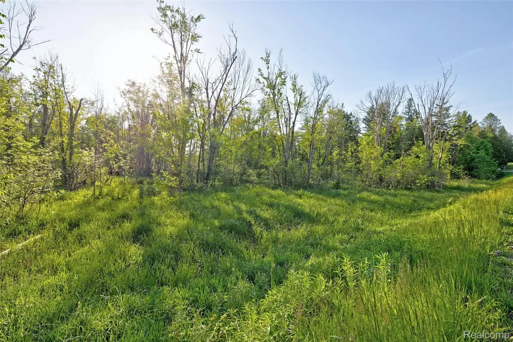 5890 Grange Hall Road Groveland Township MI 48442