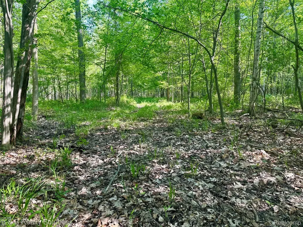 000 Mayville Dayton Township MI 48744