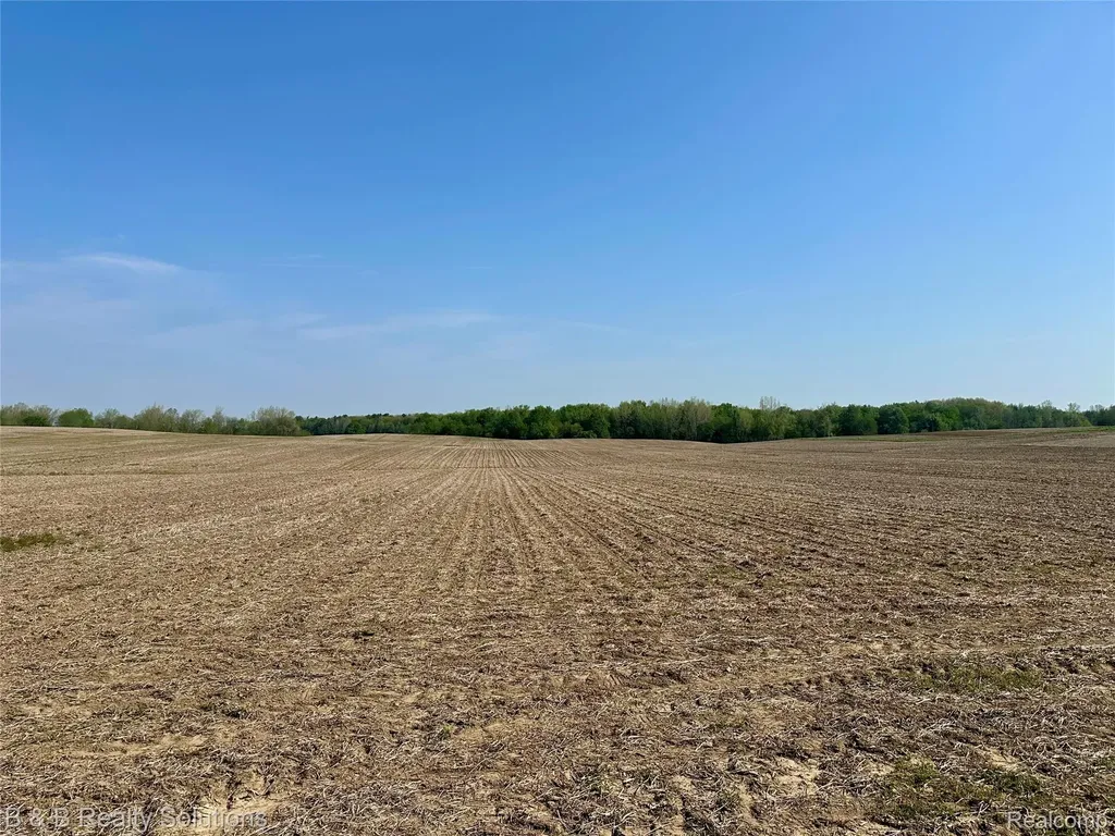 000 Mayville Dayton Township MI 48744