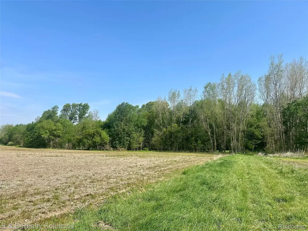 000 Mayville Dayton Township MI 48744