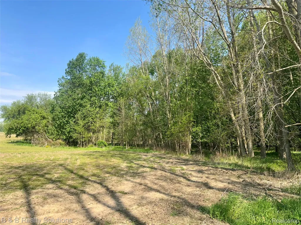 000 Mayville Dayton Township MI 48744