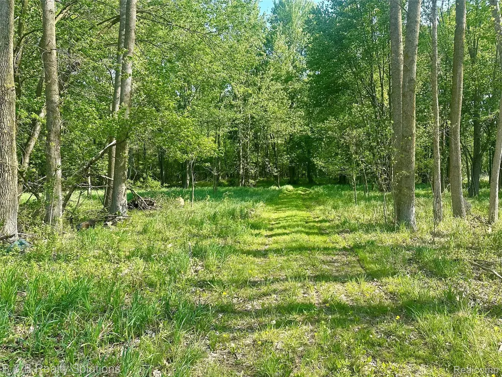 000 Mayville Dayton Township MI 48744