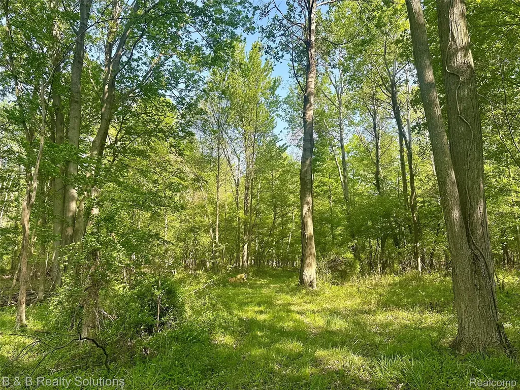 000 Mayville Dayton Township MI 48744