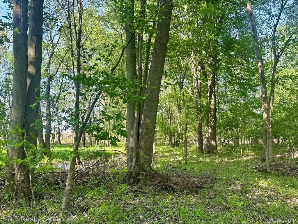 000 Mayville Dayton Township MI 48744