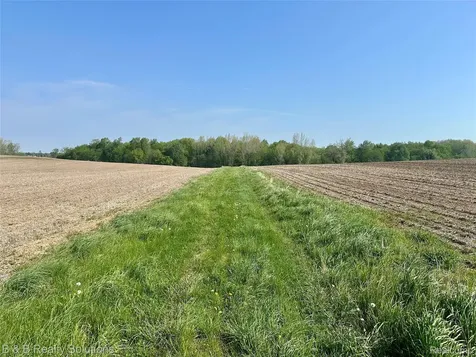 000 Mayville Dayton Township MI 48744