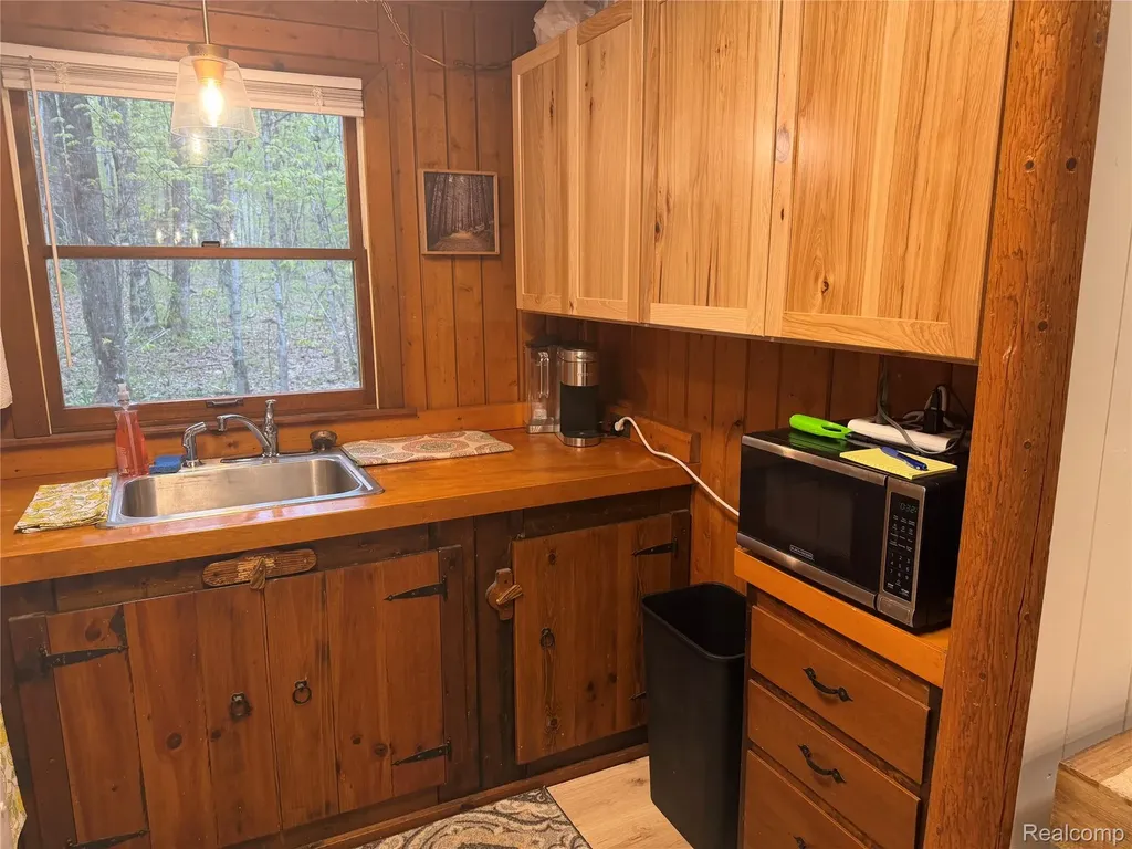8641 Springdale Drive Star Township MI 49730
