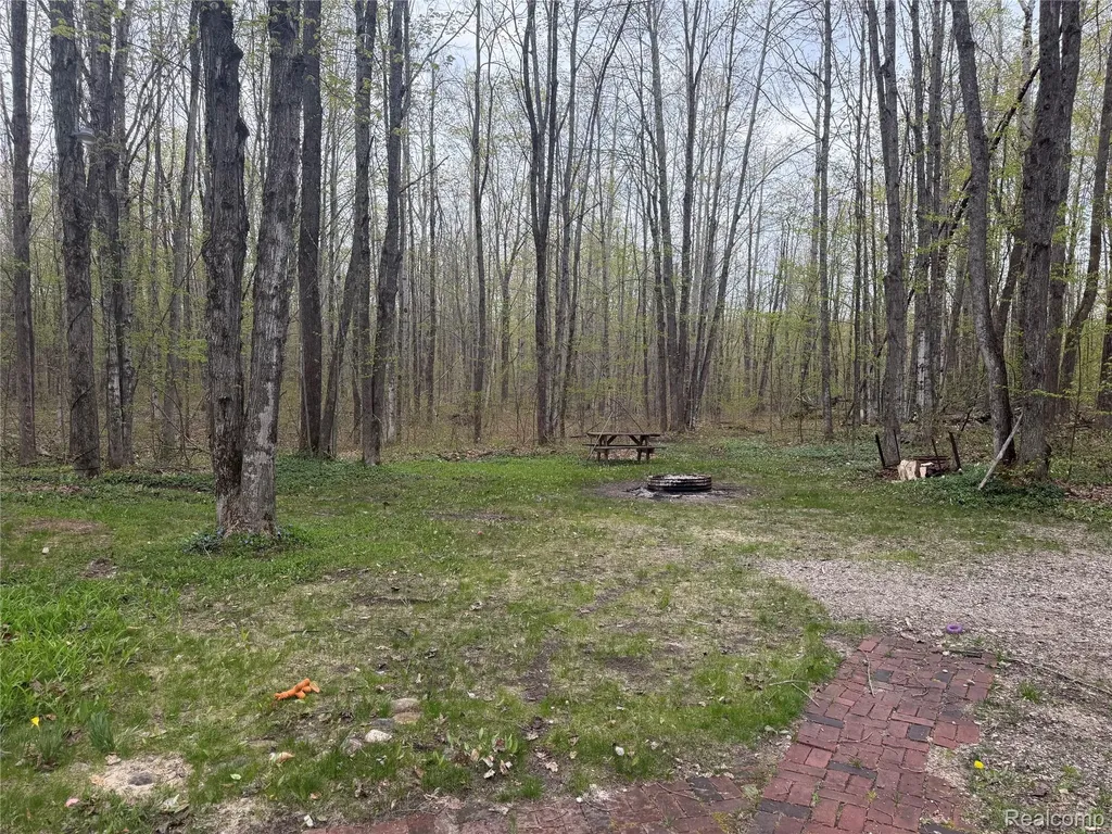 8641 Springdale Drive Star Township MI 49730
