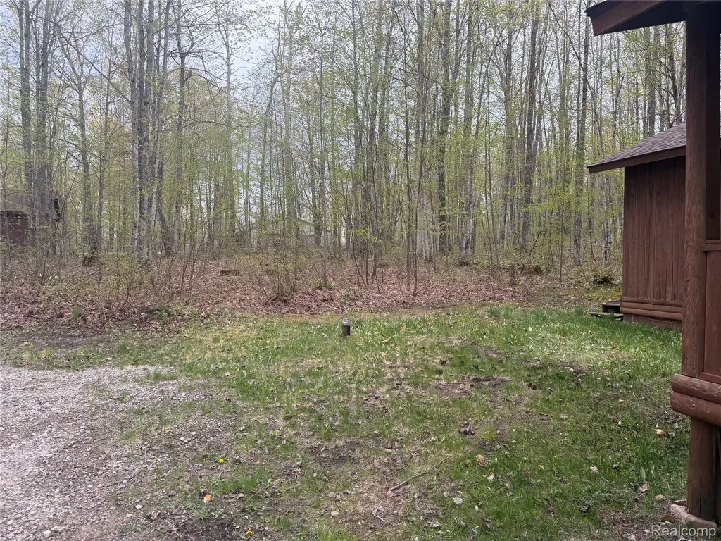 8641 Springdale Drive Star Township MI 49730