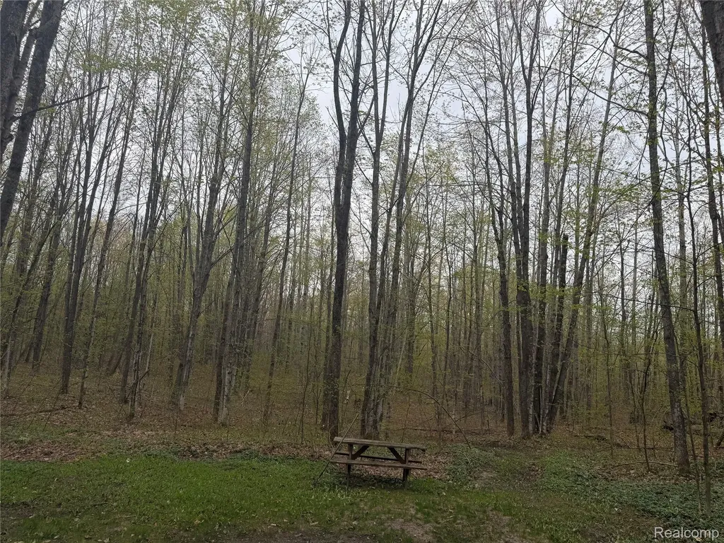 8641 Springdale Drive Star Township MI 49730
