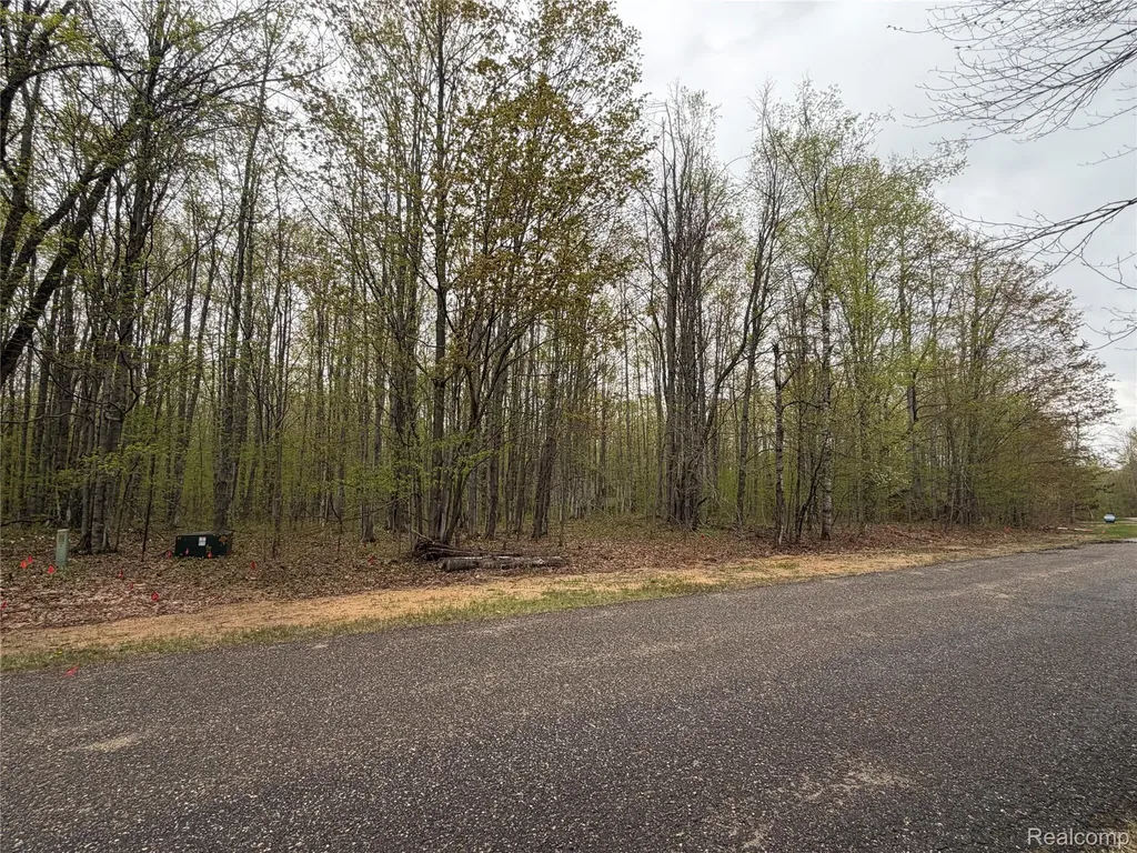 8641 Springdale Drive Star Township MI 49730