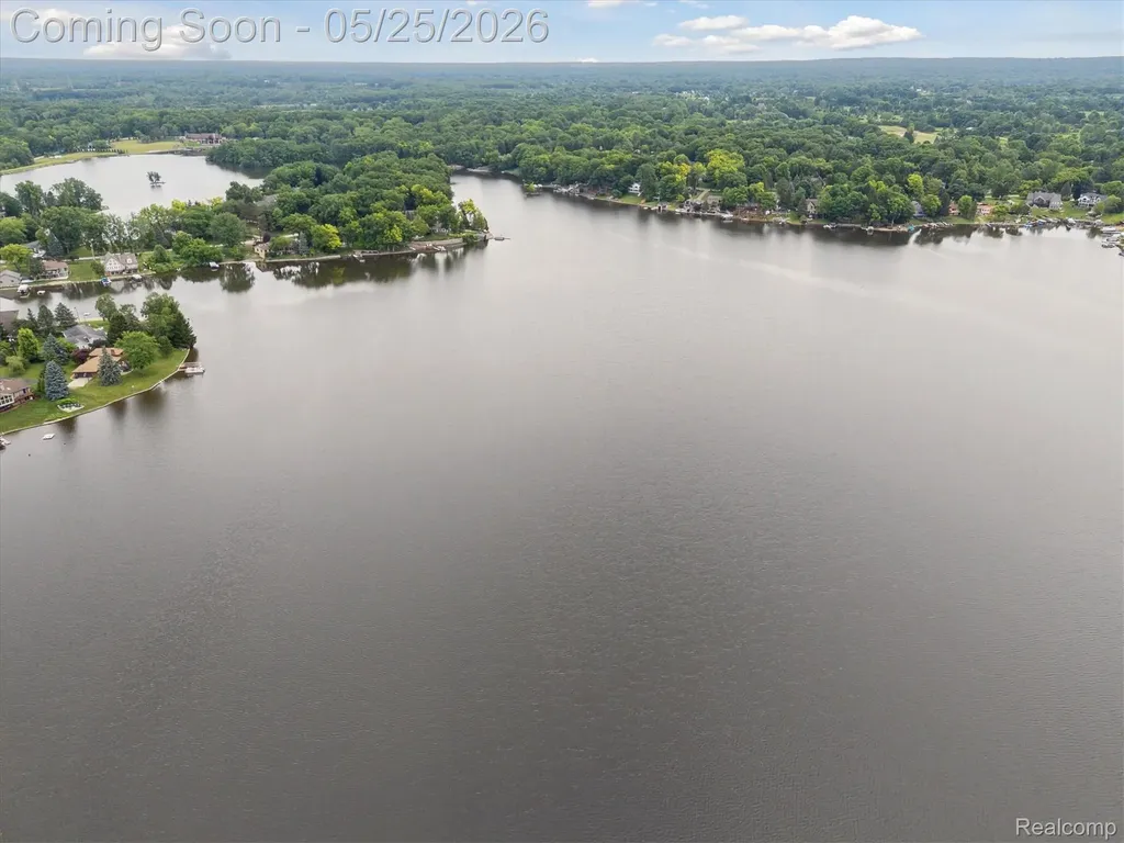 3817 Lake Lapeer Drive Elba Township MI 48455