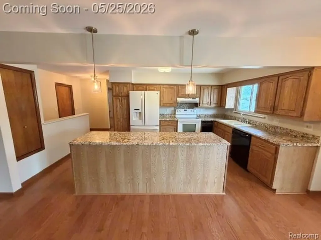 3817 Lake Lapeer Drive Elba Township MI 48455