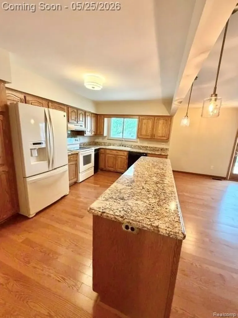 3817 Lake Lapeer Drive Elba Township MI 48455